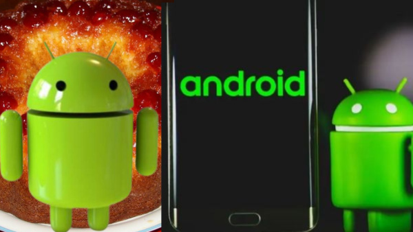 കണ്ടാൽ നിഷ്കളങ്കമെന്ന് തോന്നും, പക്ഷേ അ‌ത്ര നിഷ്കളങ്കമല്ല! 