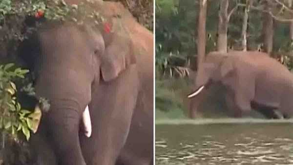 കുറ്റവാളിയുടെ കാലിൽ GPS ട്രാക്കർ ഇടാൻ പോലീസ്​