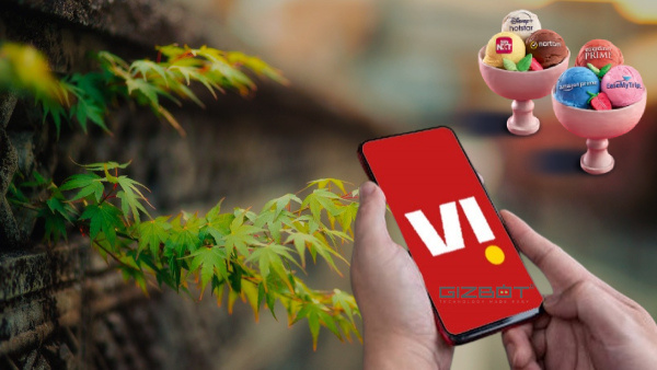 കുടുംബത്തിനായി ടെലിക്കോം പ്ലാൻ തിരയുന്നവർക്ക് വിഐ ആണ് ബെസ്റ്റ്! 