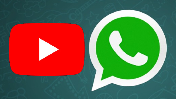 വീഡിയോ കാണുമ്പോൾ ഉപകാരപ്പെടും; വാട്സ്ആപ്പിൽ പുതിയ യൂട്യൂബ് ഫീച്ചർ 