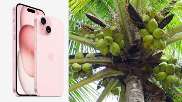 തേങ്ങാ വില ഇടിയുംപോലെ ഫ്ലിപ്പ്കാർട്ടിൽ ഐഫോൺ 15 വില വീണ്ടും കുറഞ്ഞു! 