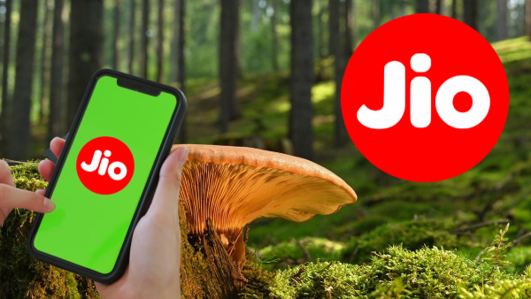 ലക്ഷ്യം എയർടെലും വിഐയും; ബജറ്റ് വിലയിൽ 3GB ഡാറ്റ ദിവസവും നൽകി ജിയോ