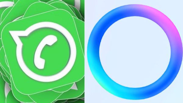 വാട്സ്ആപ്പിൽ ഒരു നീല വളയം കണ്ടാൽ പേടിക്കേണ്ട, അ‌ത് ലാമയാണ്! 