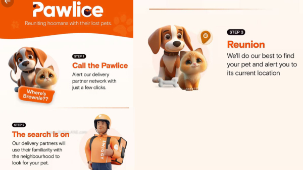 പോലീസുമല്ല പൗലോസുമല്ല ഇത് പാവ്‌ലിസ്! വളർത്തുമൃഗങ്ങളുടെ രക്ഷകർ