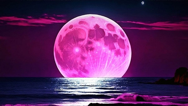 pink moon 2024- ലൈഫ് കൂടുതൽ റോമാറ്റിക് ആക്കിയാലോ?