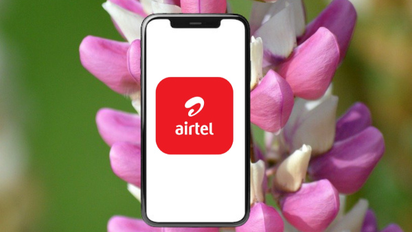 ഒടിടി ആരാധകരുടെ പ്രിയപ്പെട്ട 359 രൂപയുടെ എയർടെൽ പ്ലാൻ