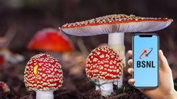 ജിയോ, എയർടെൽ, വിഐ വരിക്കാർ കൊതിക്കുന്നു, ഈ പ്ലാൻ കിട്ടിയിരുന്നെങ്കിൽ!