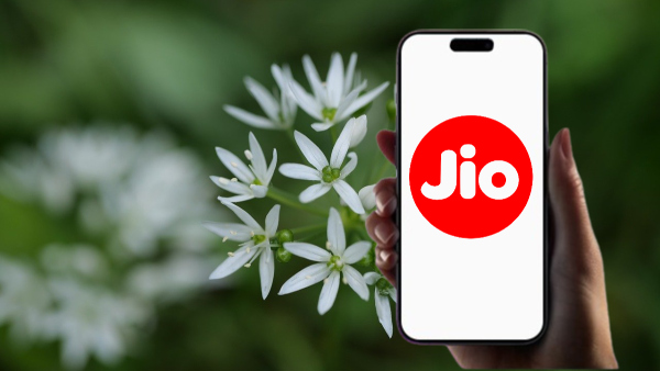 വെറും 1 മാസത്തെ റീച്ചാർജ് ചെലവിൽ 3 മാസം സുഖിക്കാം! 