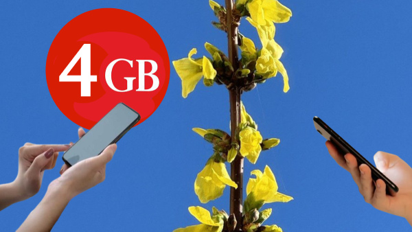 ദിവസം 4ജിബി ഡാറ്റ കിട്ടുന്ന ഇന്ത്യയിലെ ഏക റീച്ചാർജ് പ്ലാൻ