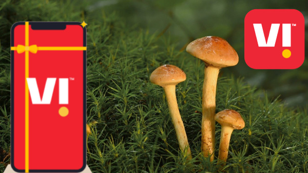 'ഇനി നമ്മൾ എന്ത് ചെയ്യും മല്ലയ്യാ' എന്ന് വിഐ വരിക്കാർ വിഷമിക്കേണ്ട! 