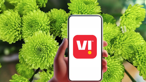 6 മാസത്തേക്ക് എല്ലാം നേടി സുഖിക്കാം; ഈ VI പ്ലാൻ ബെസ്റ്റാ