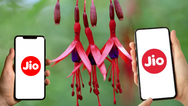 9 ജിയോ പ്ലാൻ ഉണ്ടായിരുന്നിടത്ത് ഇപ്പോൾ 2 എണ്ണം, അ‌തിന് മുടിഞ്ഞ പവറും!