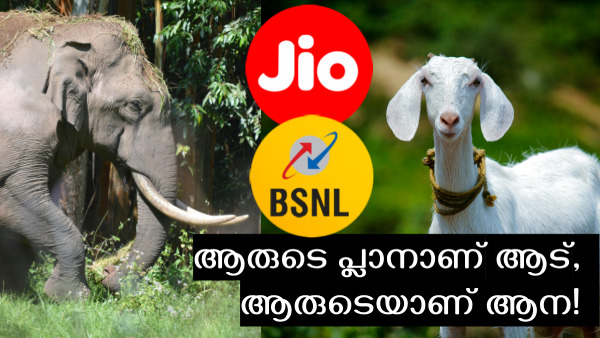 ഇത്രയ്ക്ക് വേണമായിരുന്നോ! ആനയും ആടും പോലെ ഉണ്ട് ഈ പ്ലാൻ വ്യത്യാസം