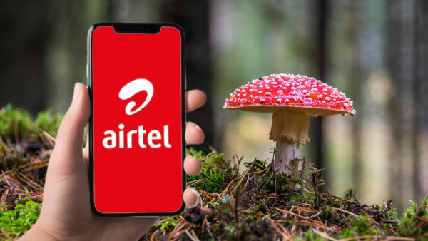 ഇതുപോലെ ഒന്ന് ഇതുമാത്രമേ ഉള്ളൂ! പുതിയ എയർടെൽ പ്ലാനിന്റെ പ്രത്യേകത ഇതുപോലെ ഒന്ന് ഇതുമാത്രമേ ഉള്ളൂ! പുതിയ എയർടെൽ പ്ലാനിന്റെ പ്രത്യേകത