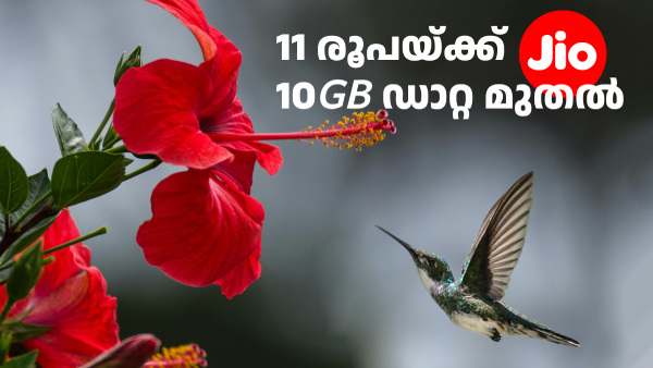 11 രൂപയ്ക്ക് 10GB ഡാറ്റ മുതൽ! ജിയോ സിം ഉള്ളവർക്ക് 2025ൽ കുശാൽ
