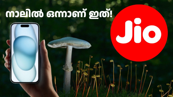 ദിവസം 2.5ജിബി ഡാറ്റ കിട്ടുന്ന ഏറ്റവും വില കുറഞ്ഞ ജിയോ പ്ലാൻ 