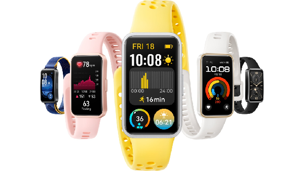 ഇവനൊരു ഗില്ലാപ്പി തന്നെ! ഇവനൊരു ഗില്ലാപ്പി തന്നെ!