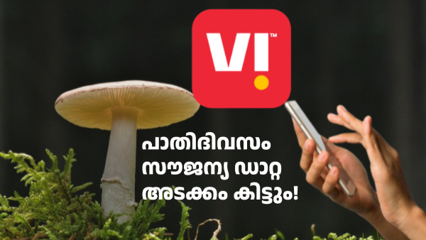 സൗജന്യമായി നെറ്റ്ഫ്ലിക്സ് കണ്ടാലോ, ഈ വിഐ പ്രീപെയ്ഡ് പ്ലാനുകൾ അ‌തിനാണ്