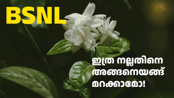 5-6 മാസത്തേക്ക് റീച്ചാർജ് ​​ഒഴിവാക്കാൻ ഈ ഒരു BSNL പ്ലാൻ ആണ് ബെസ്റ്റ്