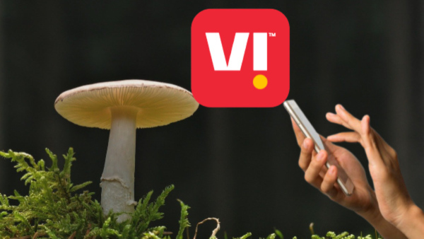 വിഐ വരിക്കാരും ഒടുവിൽ പെട്ടു! 249 രൂപയുടെ റീച്ചാർജ് പ്ലാൻ നിർത്തലാക്കി വിഐ വരിക്കാരും ഒടുവിൽ പെട്ടു! 249 രൂപയുടെ റീച്ചാർജ് പ്ലാൻ നിർത്തലാക്കി