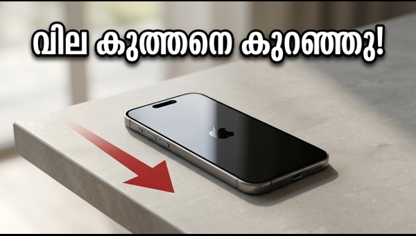ഐഫോൺ 17 വില കുറഞ്ഞു; ഫ്ലിപ്കാർട്ടിൽ വമ്പൻ ഓഫർ