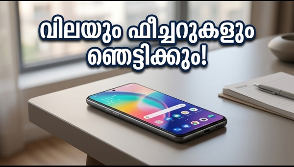 വൺപ്ലസ് നോർഡ് സിഇ 6: വിലയും സവിശേഷതകളും