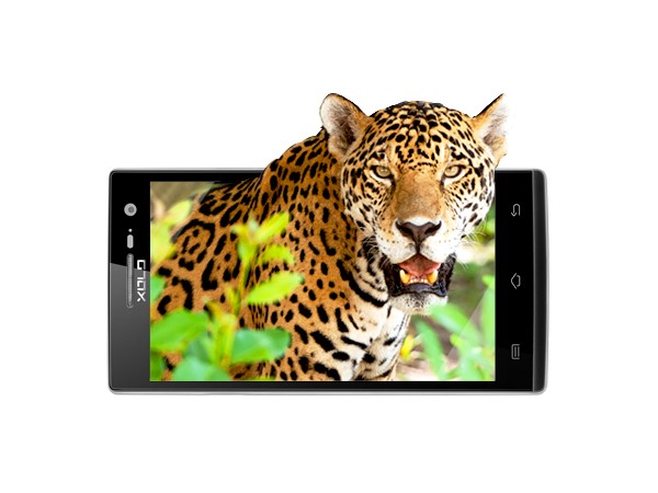 Xolo Q1010i