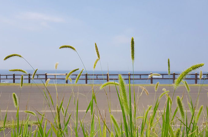 Samsung Galaxy Note 8 Camera Samples