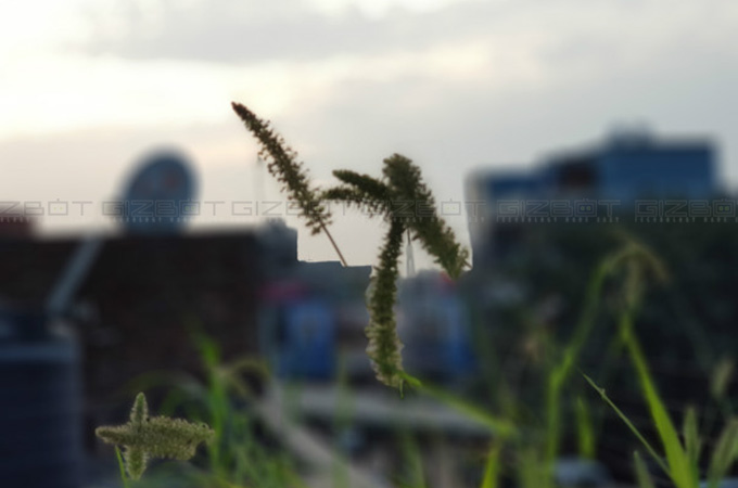 Samsung Galaxy Note 8 Camera Samples