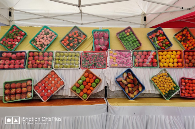 OnePlus 7 Pro Camera Samples