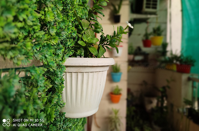 Xiaomi Mi 10 5G Camera Review