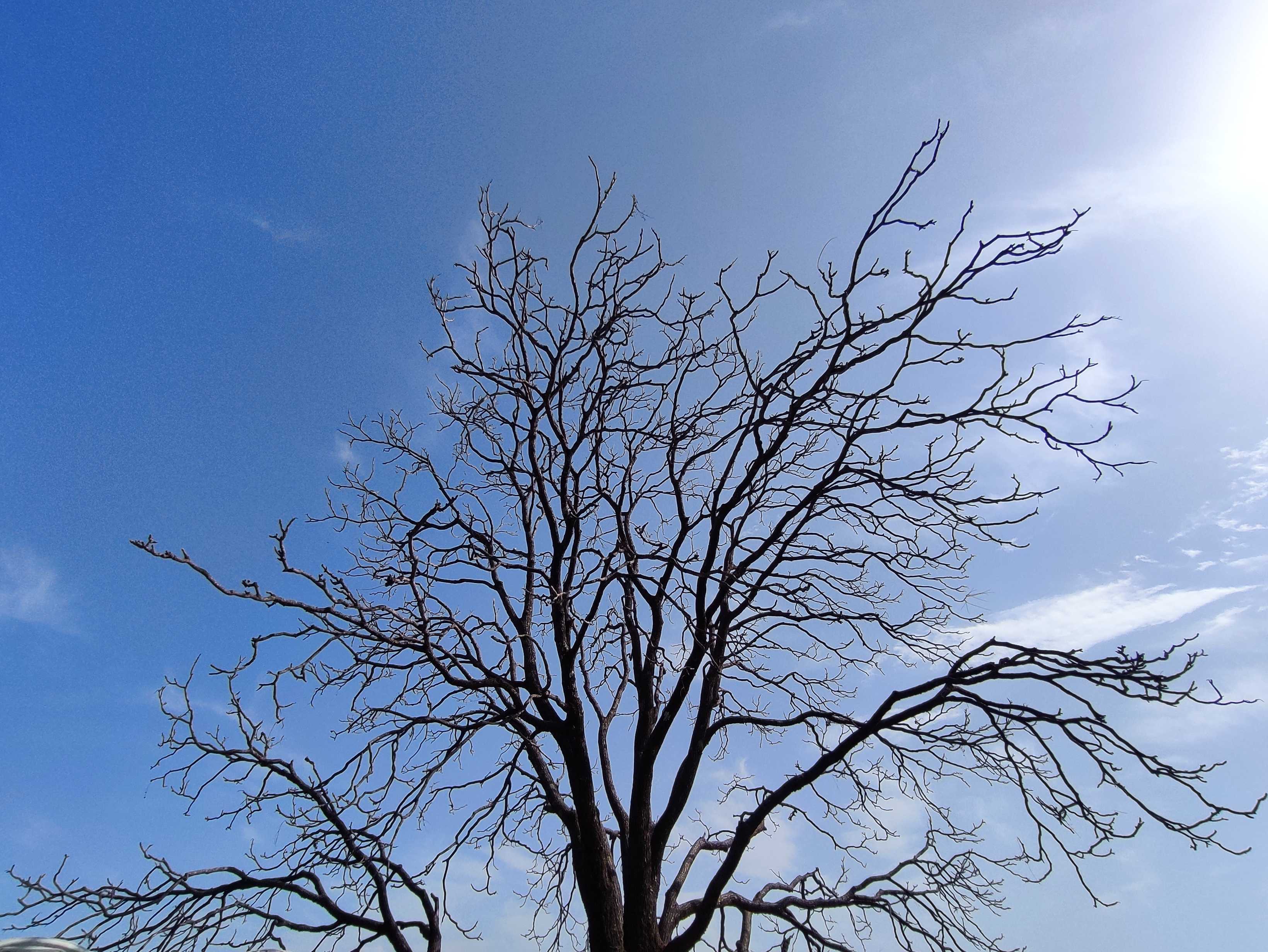 Redmi Note 10 Pro Max Camera Samples