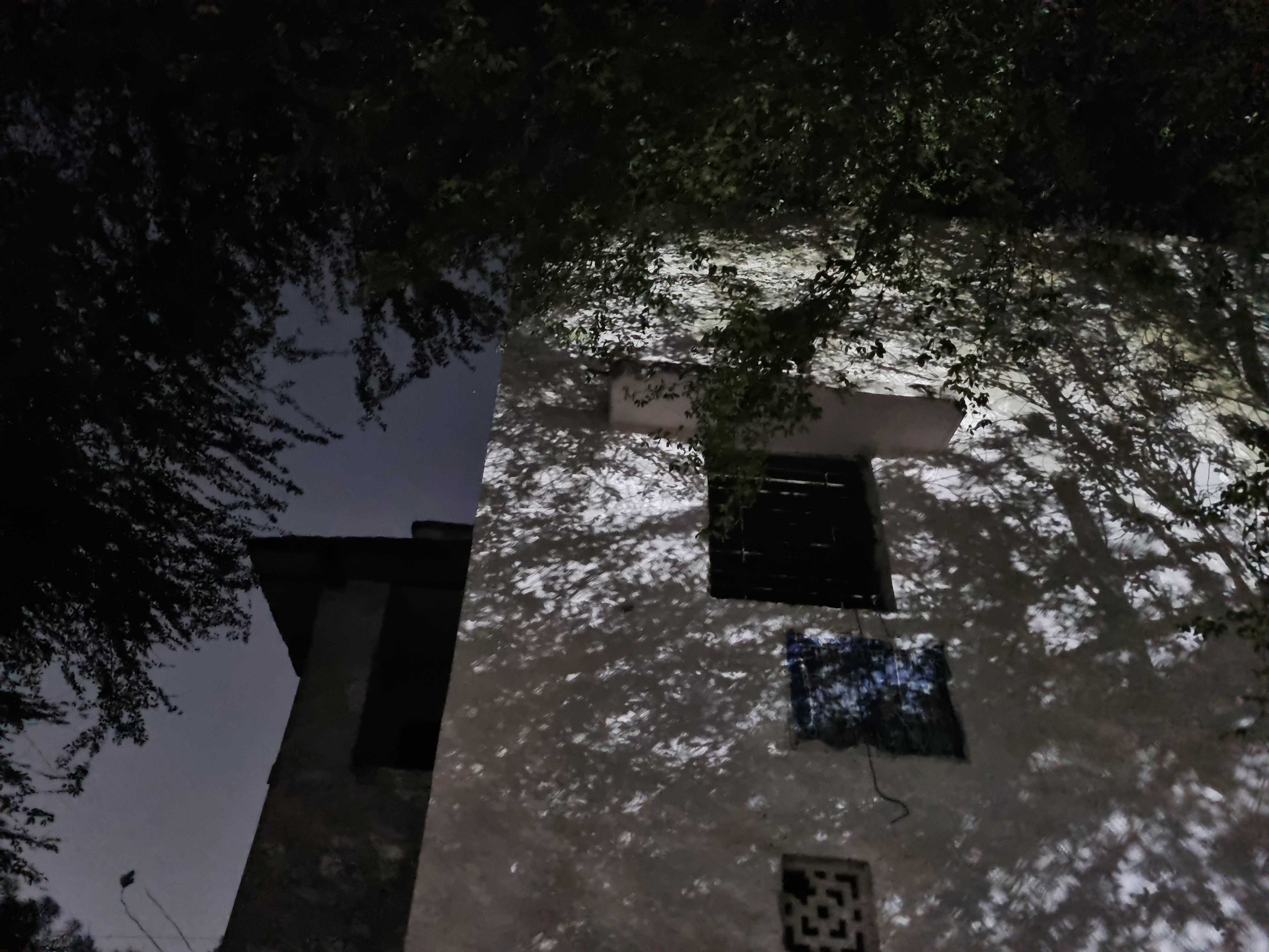 Samsung Galaxy S21+ Camera Samples