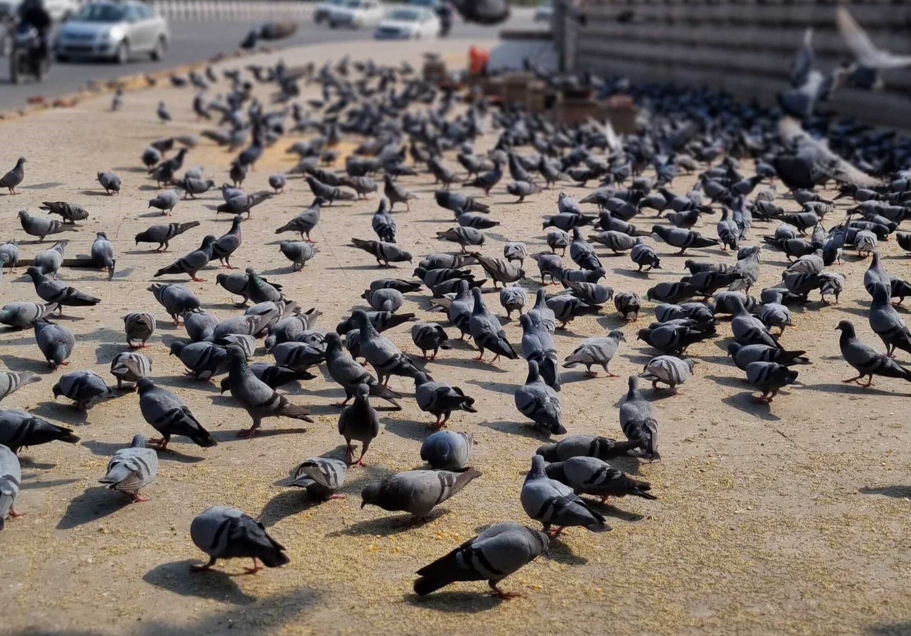 Samsung Galaxy S21+ Camera Samples