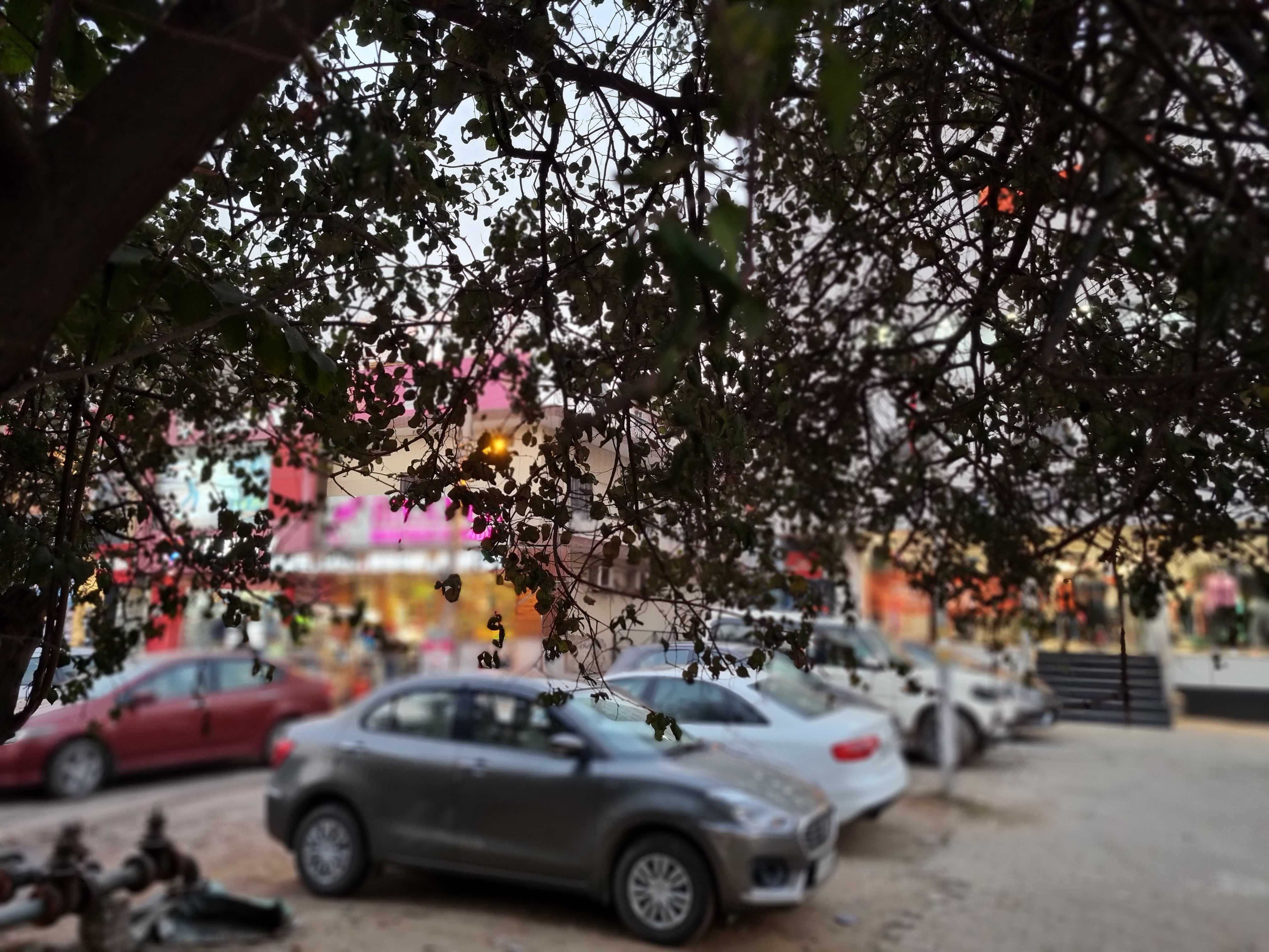 Samsung Galaxy S21+ Camera Samples