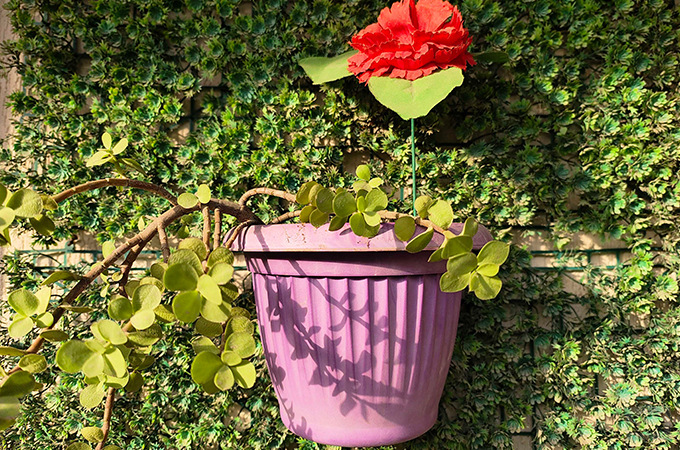 Vivo X80 Pro Camera Samples