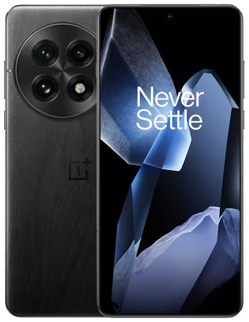 OnePlus 13