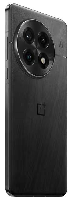 OnePlus 13