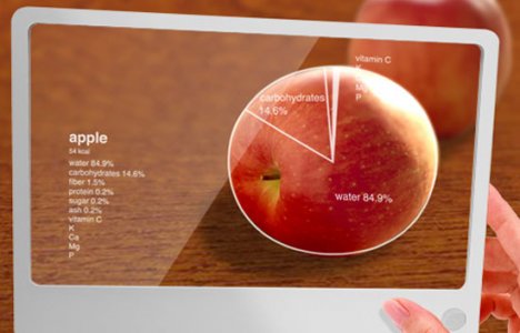 Mobile Search for diet