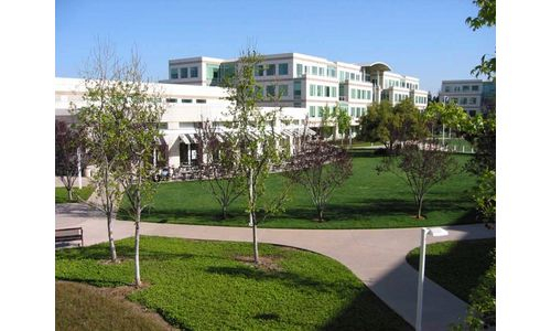 Apple Offices 12