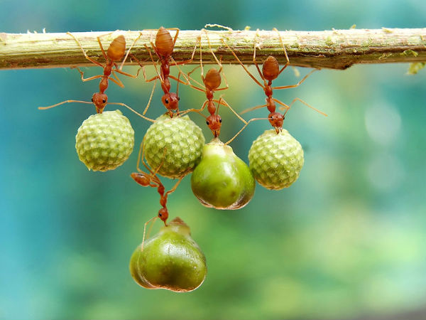 கதைசொல்லும் புகைப்படங்கள்...