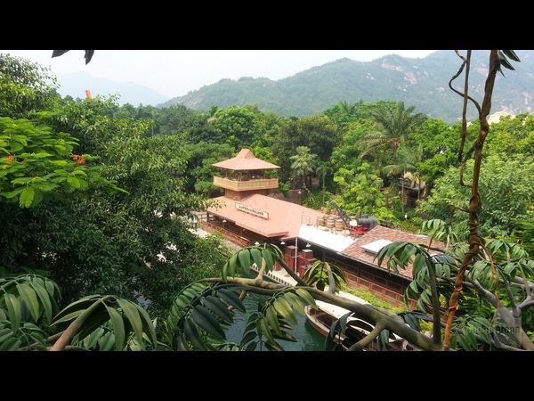 சத்தியமா இதெல்லாம் செல்போன்ல எடுத்த படங்கள்தான்!