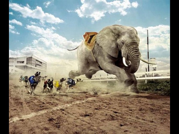 ஃபோட்டோஷாப் செய்யப்பட்ட புகைப்படங்கள்!