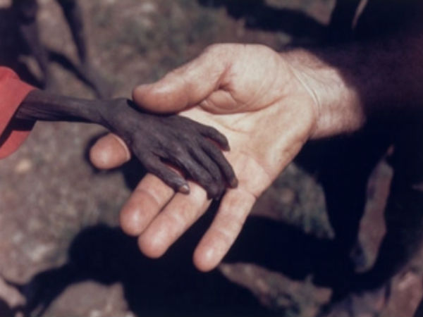 இந்த படம் சொல்வது என்ன