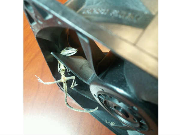 உங்க கம்பியூட்டர் இப்படி இருக்குமா பாருங்க