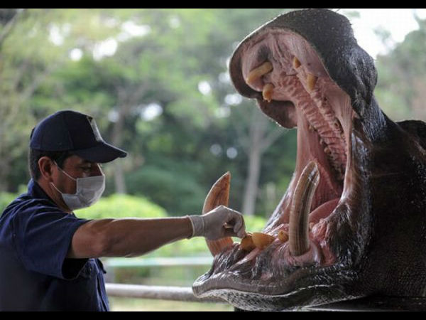 அமெசிங் போட்டோஸ் உங்களுக்காக