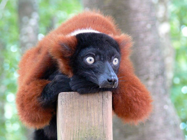 அமெசிங் போட்டோஸ் உங்களுக்காக