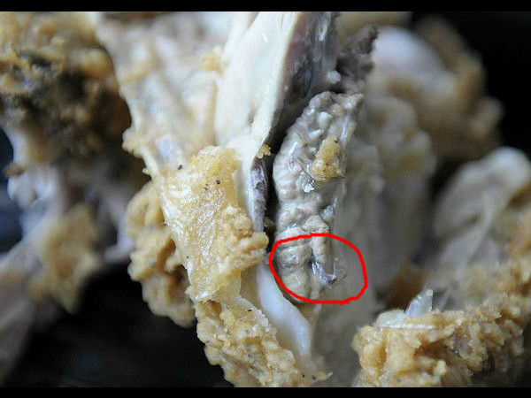 நீங்க சாப்படறது சிக்கனா இல்ல புழுவா