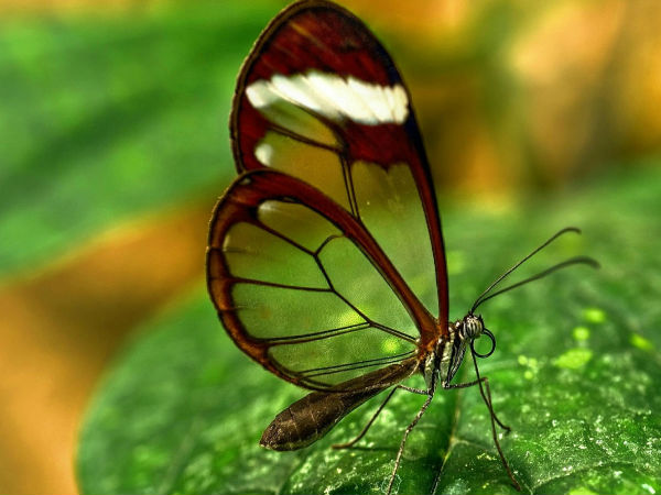 லேட்டஸ்ட் வால்பேப்ர்ஸ் உங்களுக்காக!!!