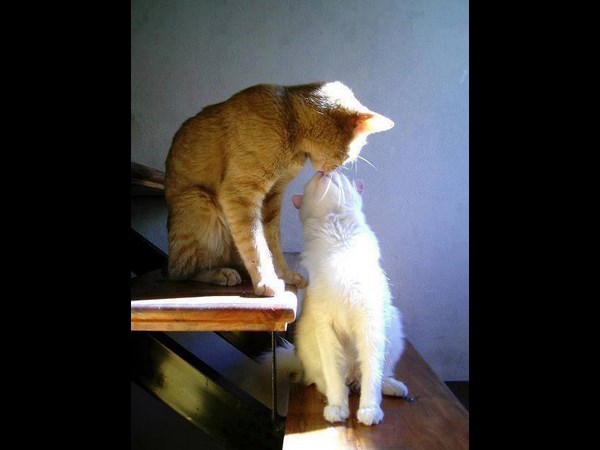 டைமிங் போட்டோஸ்!!